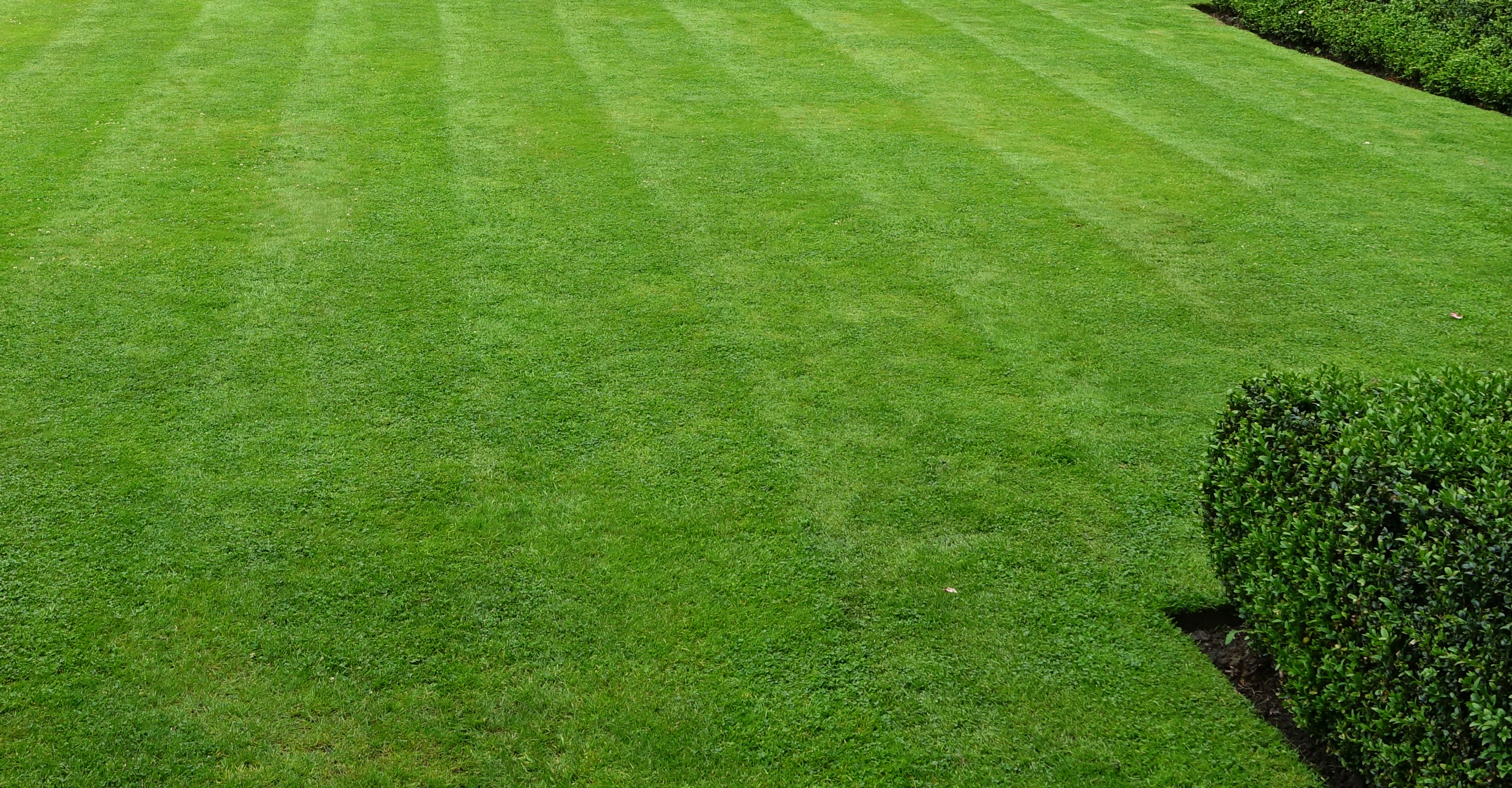 Leinster Lawncare.ie